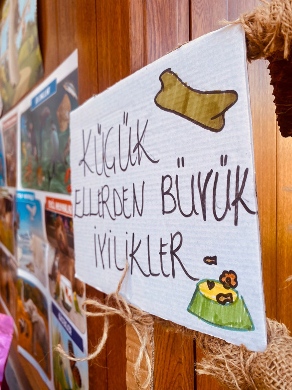 HAYVANLARI KORUMA GÜNÜ