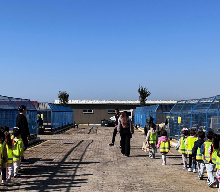 Özel Neşe Erberk Anaokulu İstanbul - Silivri