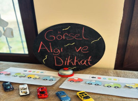 Özel Neşe Erberk Anaokulu Amasya