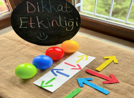 Özel Neşe Erberk Anaokulu Amasya