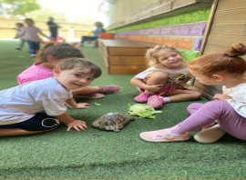Özel Neşe Erberk Anaokulu İstanbul - Beylikdüzü