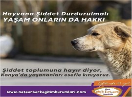Özel Neşe Erberk Anaokulu Çorlu