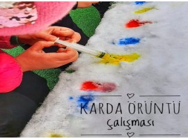 Neşe Erberk Eğitim Kurumları - Diyarbakır