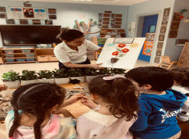 Neşe Erberk Eğitim Kurumları - Tekirdağ - Kapaklı