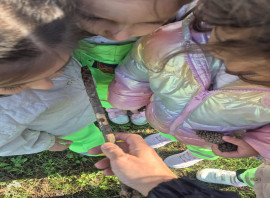 Neşe Erberk Eğitim Kurumları - Tekirdağ - Kapaklı