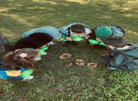 Özel Neşe Erberk Anaokulu Tekirdağ - Kapaklı