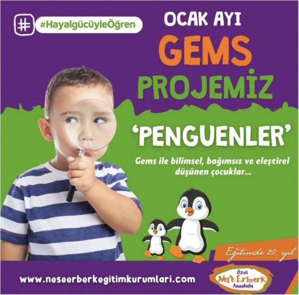 Ocak Ayı Gems Projemiz