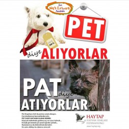 Pet diye Alıyorlar Pat diye Atıyorlar