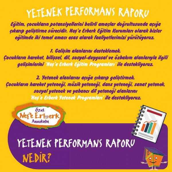 Yetenek Performans Raporu